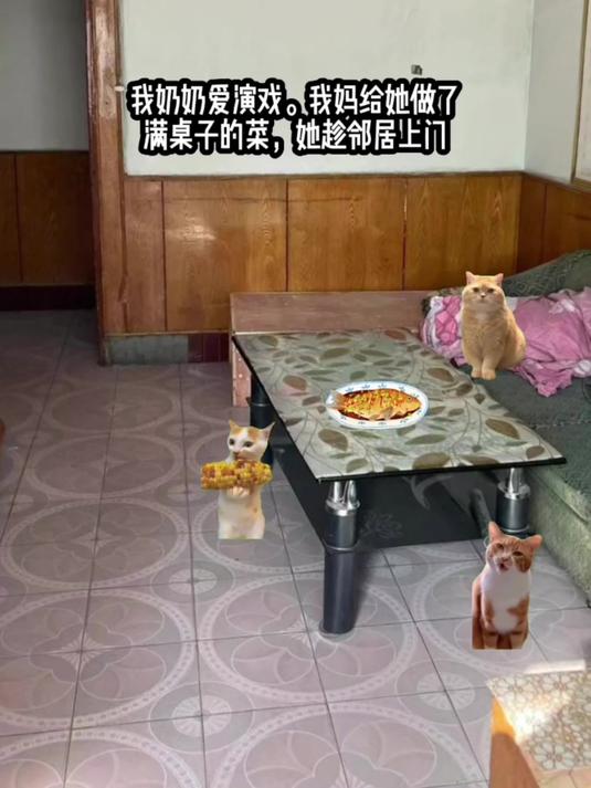 我奶奶爱演戏。我妈给她做了满桌子的菜,她趁邻居上门