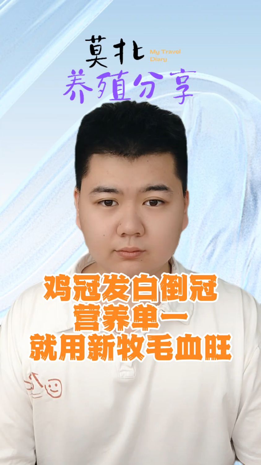 公鸡的鸡冠萎缩是什么原因鸡的鸡冠发白是什么原因鸡的鸡冠发黑是什么