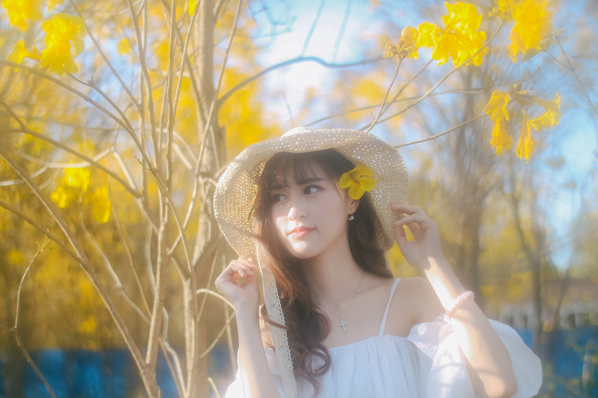 图片[3]-梦里寻花-六色网
