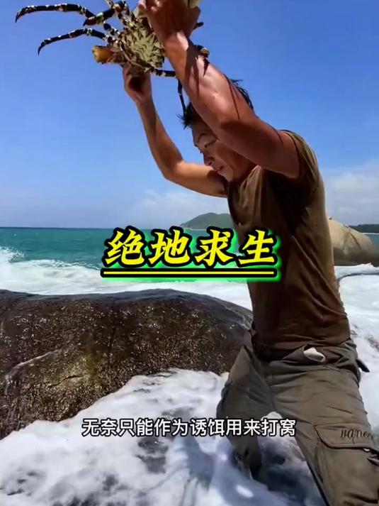 36. 户外赶海抓海鲜 18斤大龙虾打窝，抓大货
