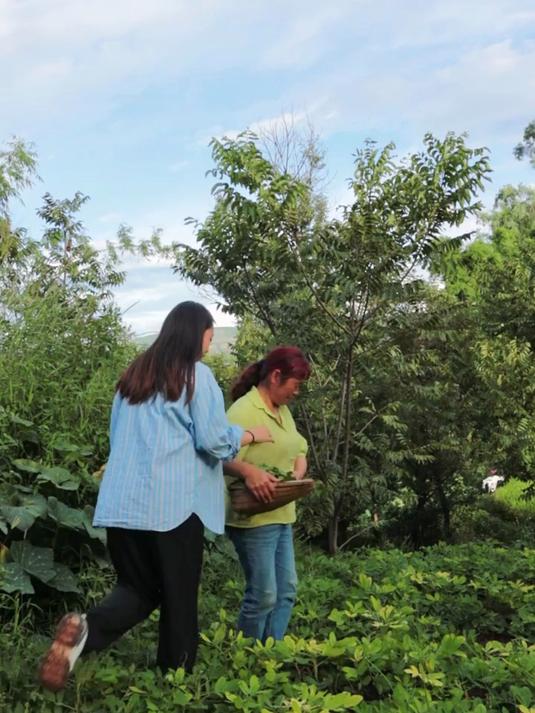去田间地头找了几把野菜 下雨天吃上一碗野菜面汤太舒服了