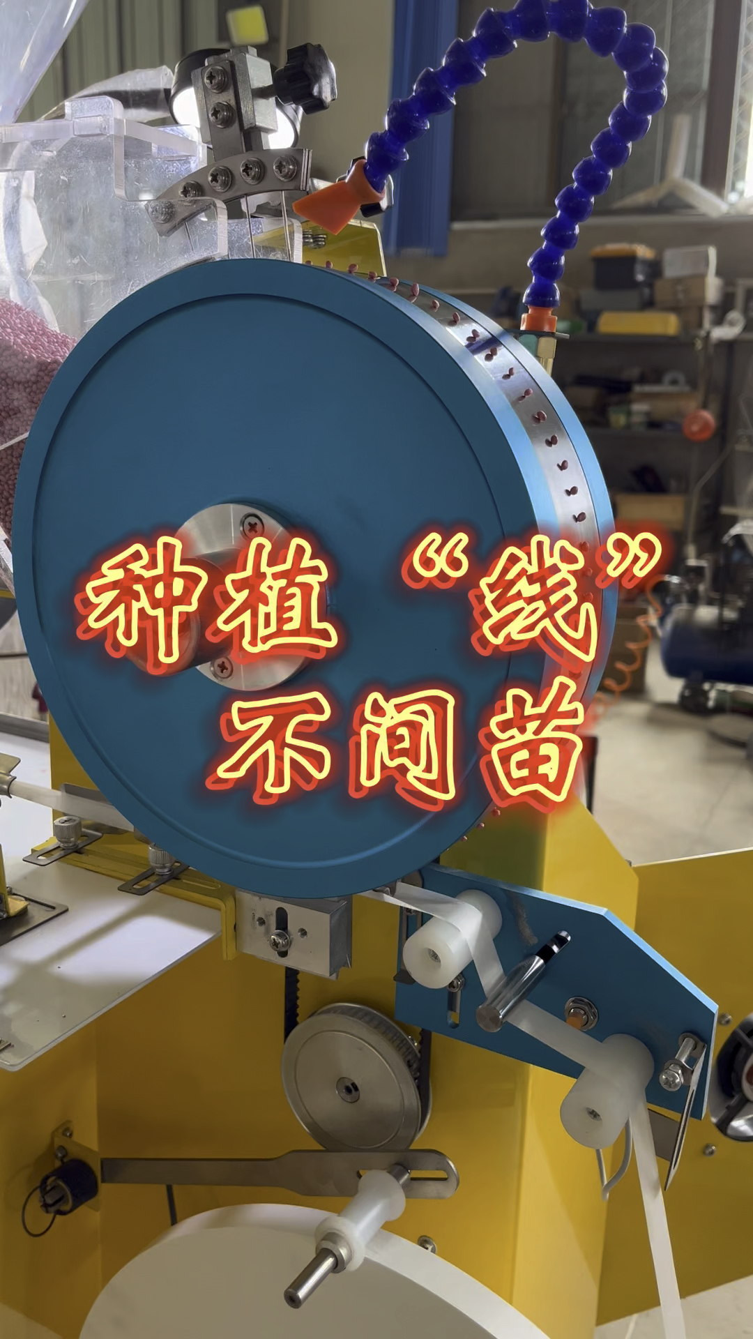 蔬菜播种机、种植线、节省人力物力不间苗!智能种子编织机!