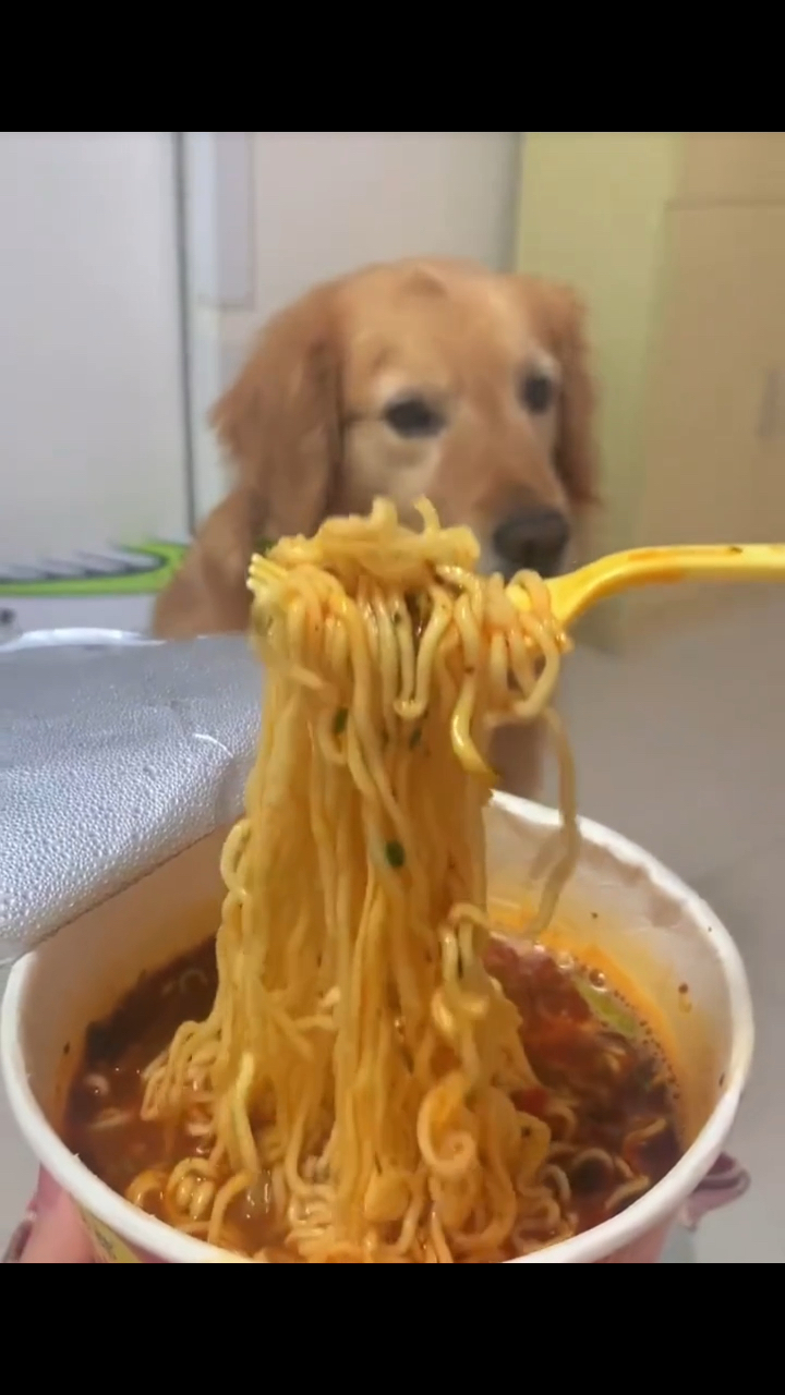 今麦郎麻辣香锅桶装海带泡面