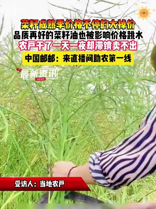 我们农村都吃这种自榨的纯菜籽油它比普通的油香太多了