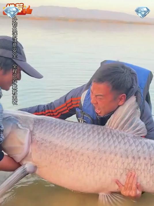 全地形折叠鱼竿 碳素超硬调 野钓海钓一竿通杀