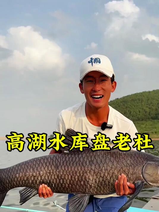 硬刚高湖60+青鱼是啥体验,这感觉太爽了,最大的一条鱼钓上来了
