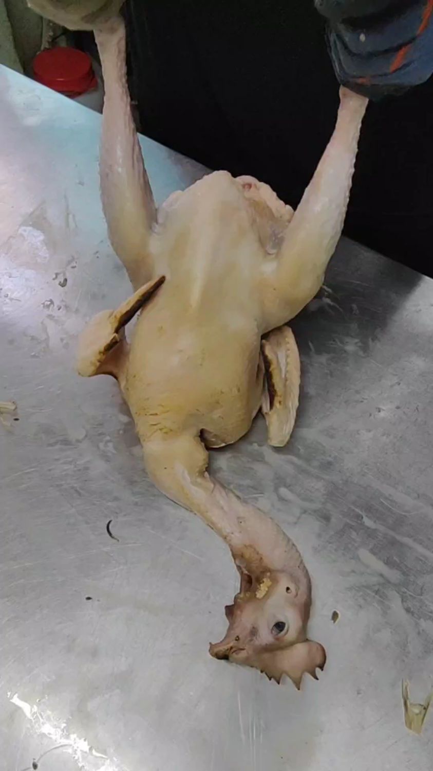 烧鸡造型盘法
