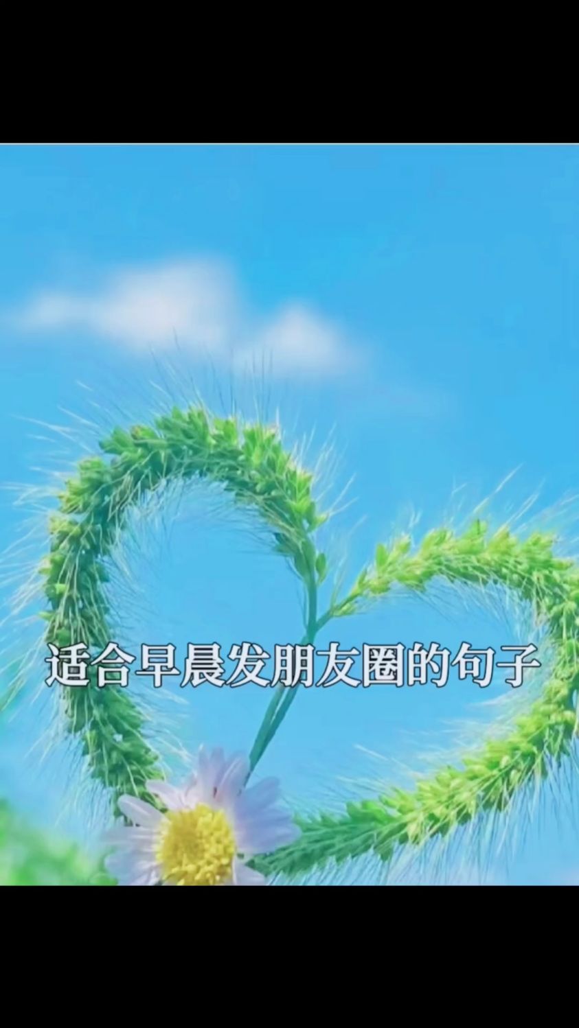 适合早晨发朋友圈的句子