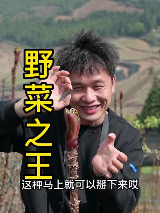 山上各种野菜野花，云南这样的春天怎么能让人不爱！