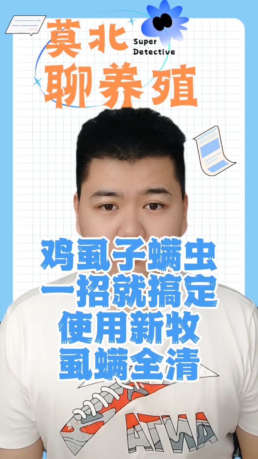 蛋鸡虱子怎么引起的鸡虱子影响蛋鸡产蛋吗鸡虱子对蛋鸡养殖的危害产蛋鸡生虱子怎么回事