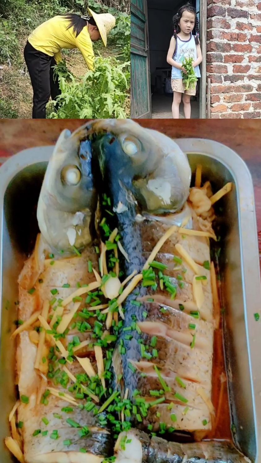 乡村生活的乐趣,清蒸皖鱼