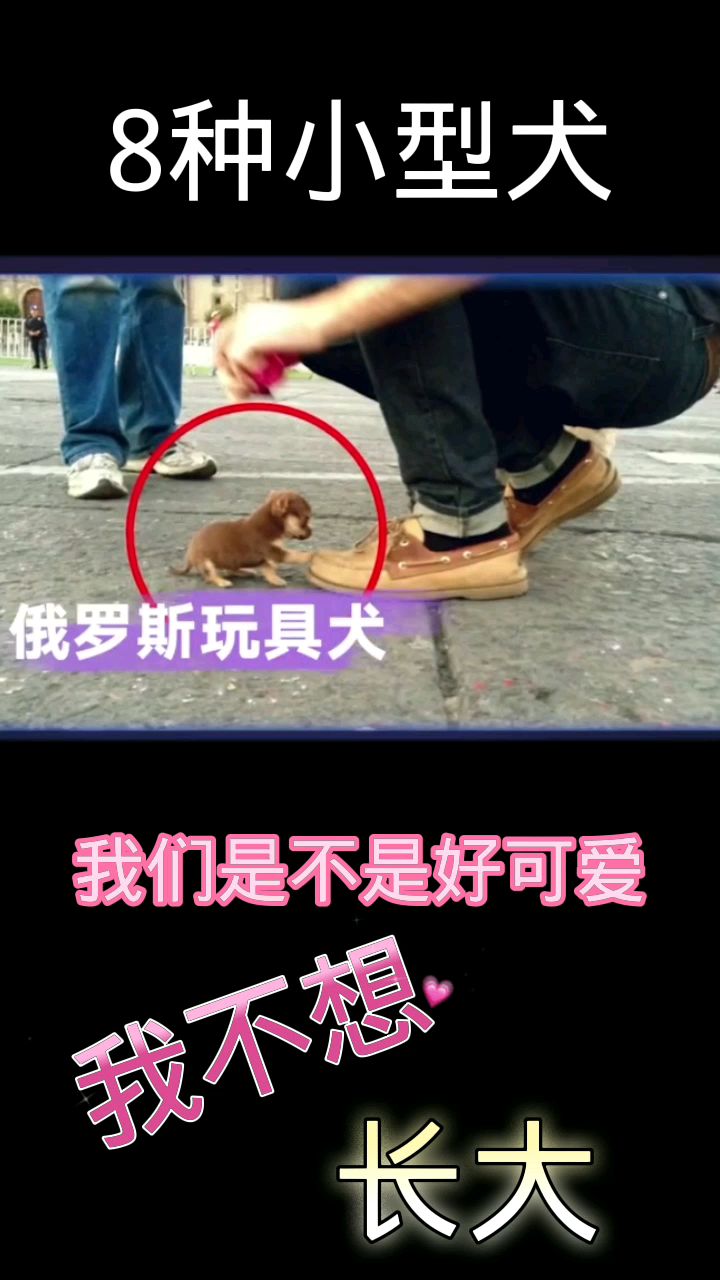 世界那么大,我们8兄妹这么小,我们需要你们的爱