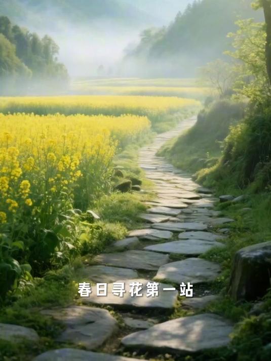 春日寻花,油菜花开满山野春日寻花第一站,直奔油菜花海!#马上就出发#