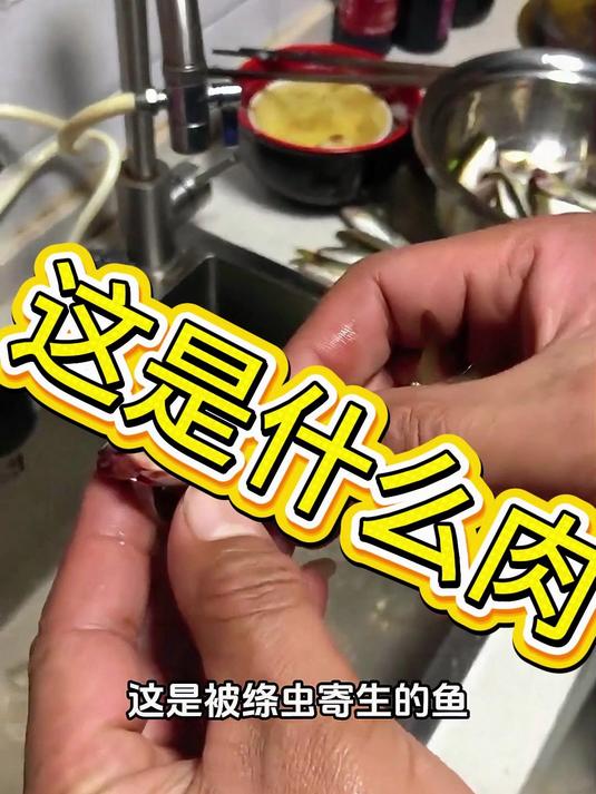 被绦虫寄生的鱼能吃吗