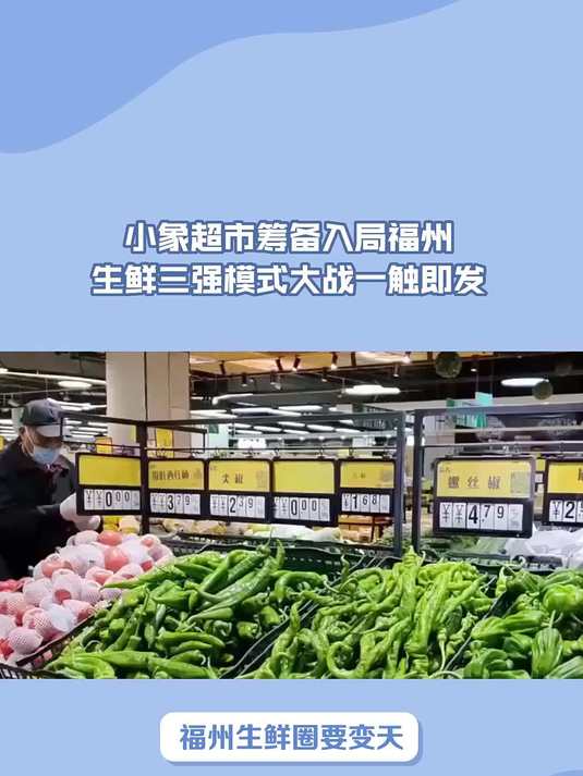 小象超市筹备入局福州,生鲜三强模式大战一触即发