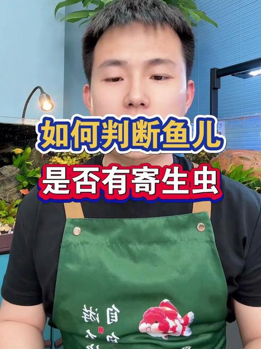 如何判断鱼儿是否有寄生虫？