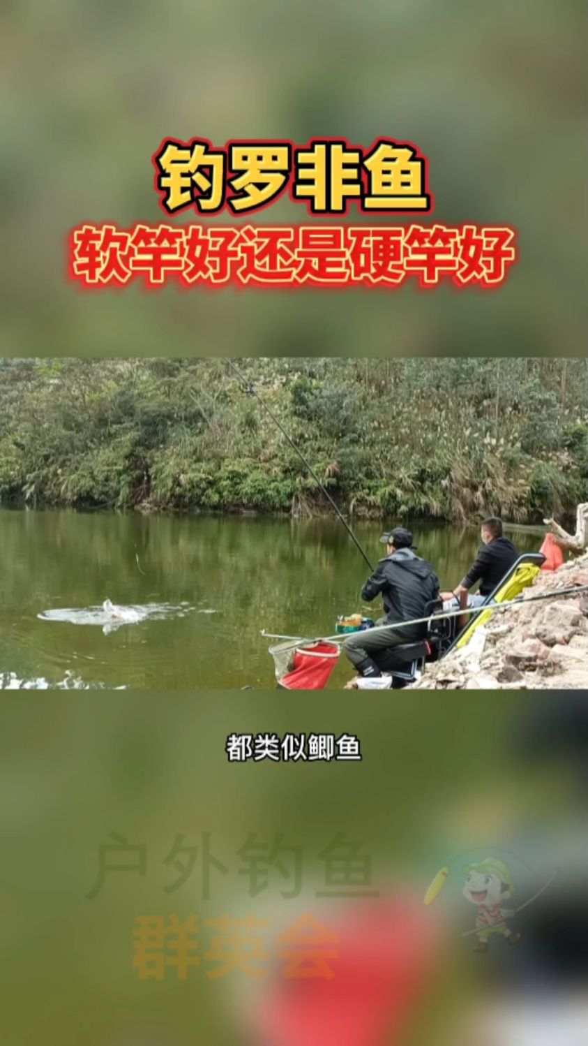 钓罗非鱼硬竿好还是软竿好?钓罗非鱼技巧
