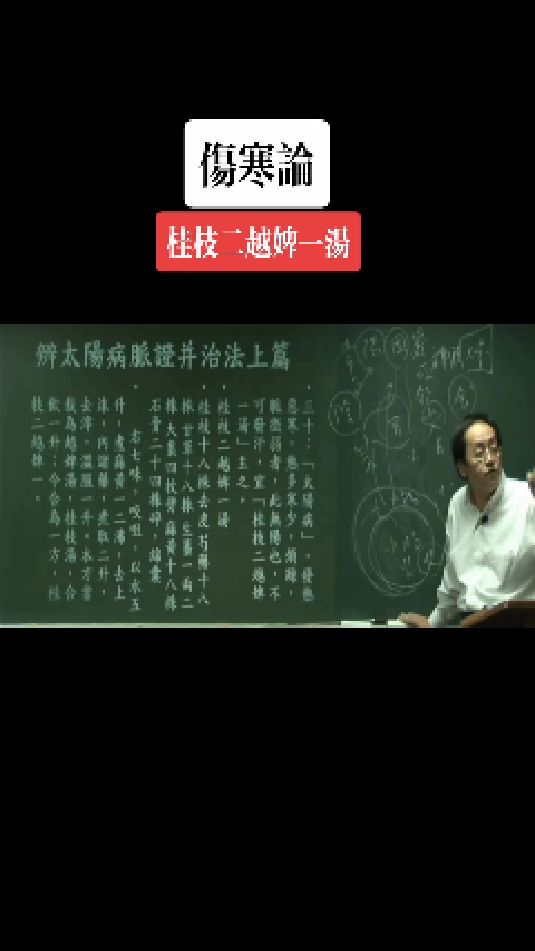 倪海厦,伤寒论桂枝麻黄汤方剂