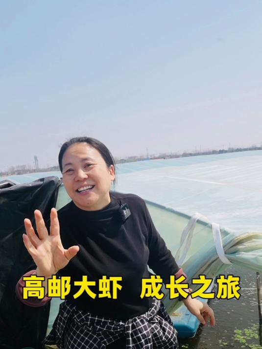 小虾苗第10天，全程记录高邮大虾生长过程！