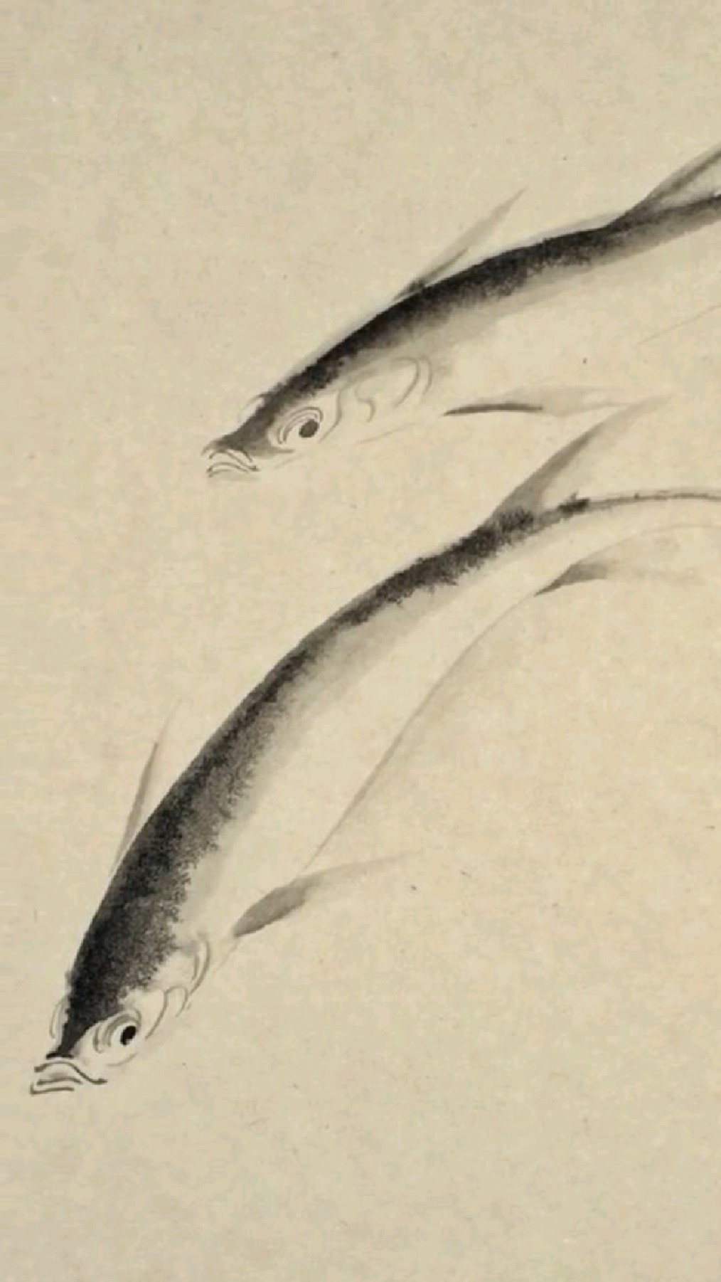 简单的游鱼画法