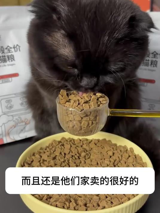 颗颗猫粮都裹满了冻干碎,还添加了超多的生骨肉