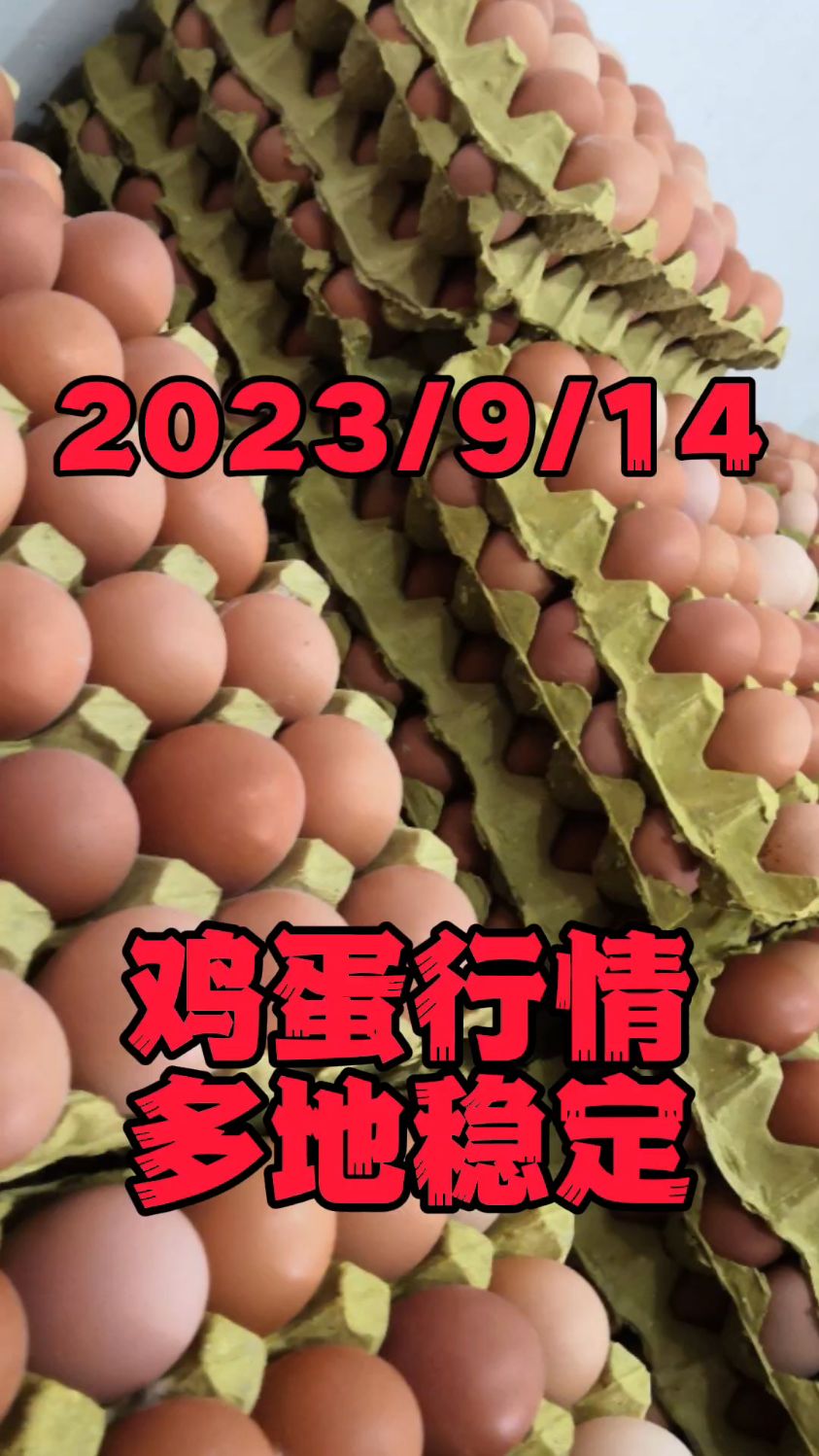 给大家汇报一下9月14号的鸡蛋价格,今日全国各大市场鸡蛋价格,多地稳定,北京地区44