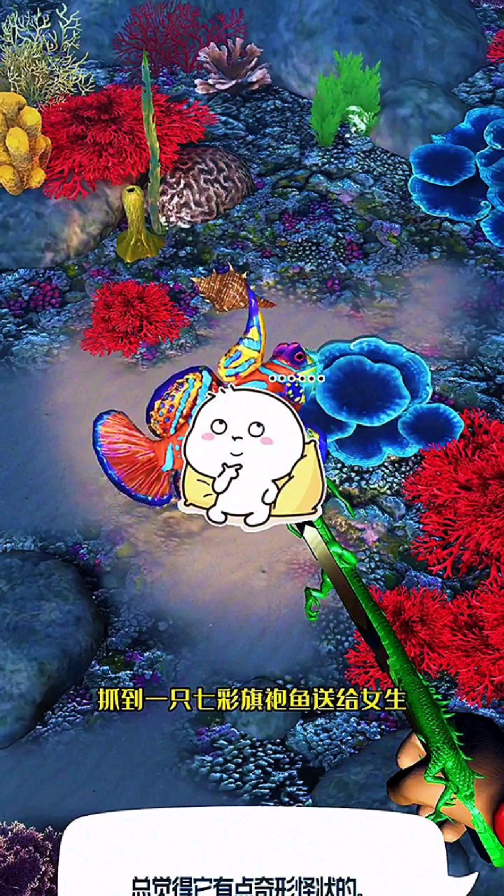 给女生抓只兔子鱼