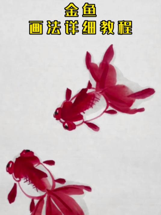 金鱼画法详细教程 国画 国画教学