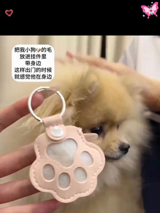 时尚便携防丢门禁卡卡套宠物遗毛收纳钥匙扣狗爪挂饰猫咪狗狗毛发