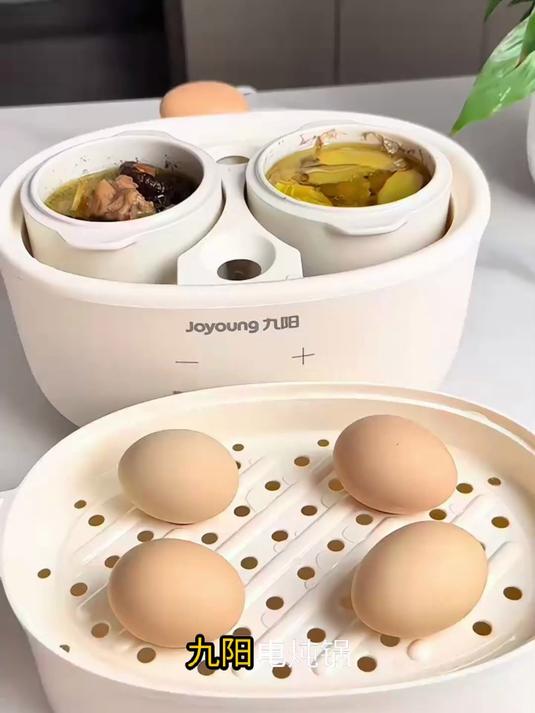 九阳电炖锅,预约美味,陶瓷内胆锁住原汁原味