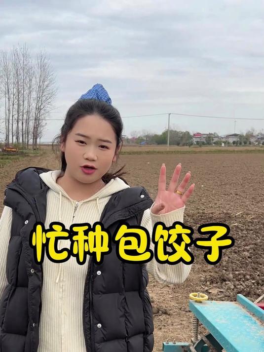 又到一年忙季,收完玉米开始种麦,闲时柔点面,给爸妈包点鲜肉饺