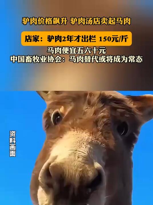 驴肉价格飙升,驴肉汤店卖起马肉