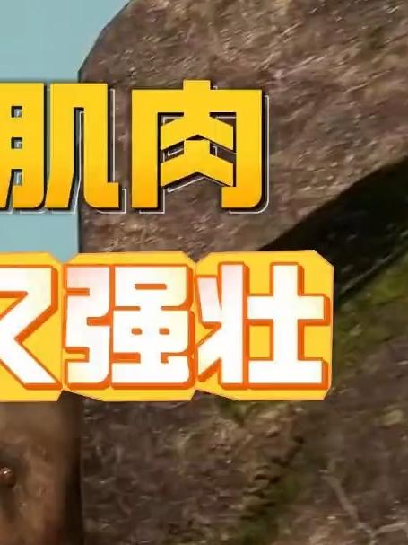 大象的肌肉,强壮又灵活