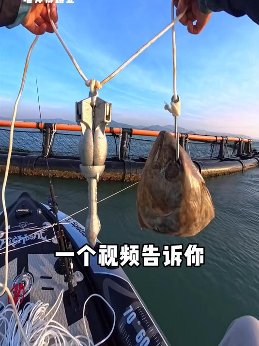 解锁超大型珍珠石斑鱼，又是开朗的一天! #踢开世界的门#