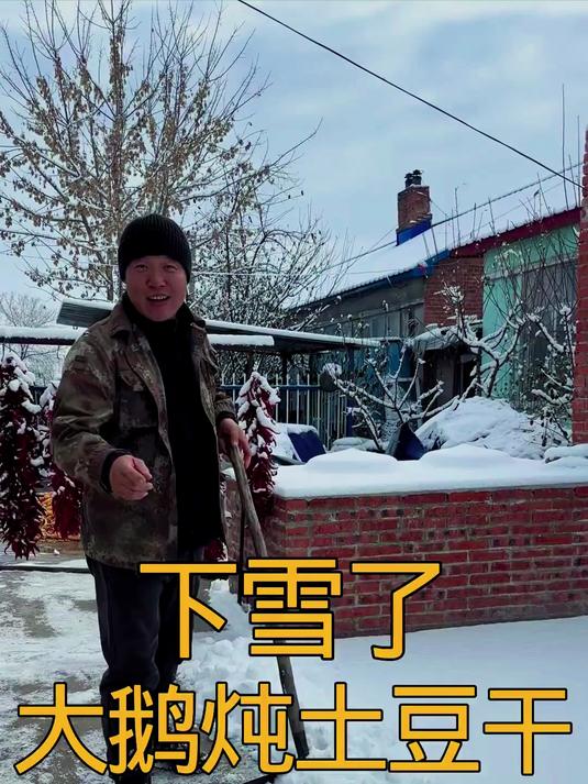 铁锅炖大鹅，东北下大雪就得炖大鹅土豆干
