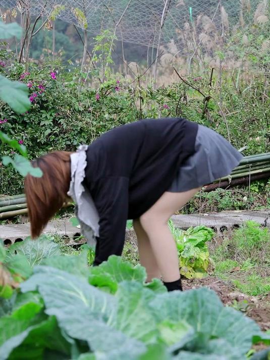 用周二娃的三线肉做一道莲花白回锅肉,这个菜过年很受欢迎