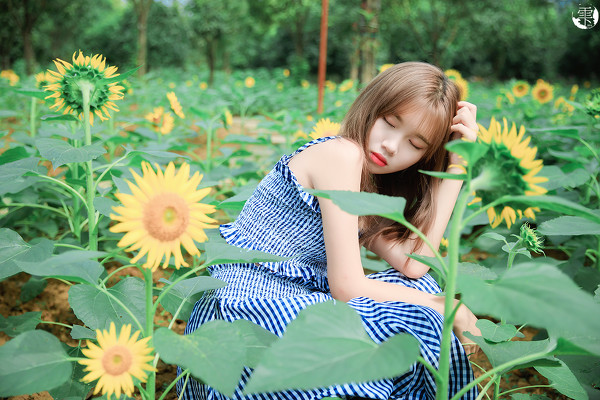 图片[8]-向日葵的少女-六色网