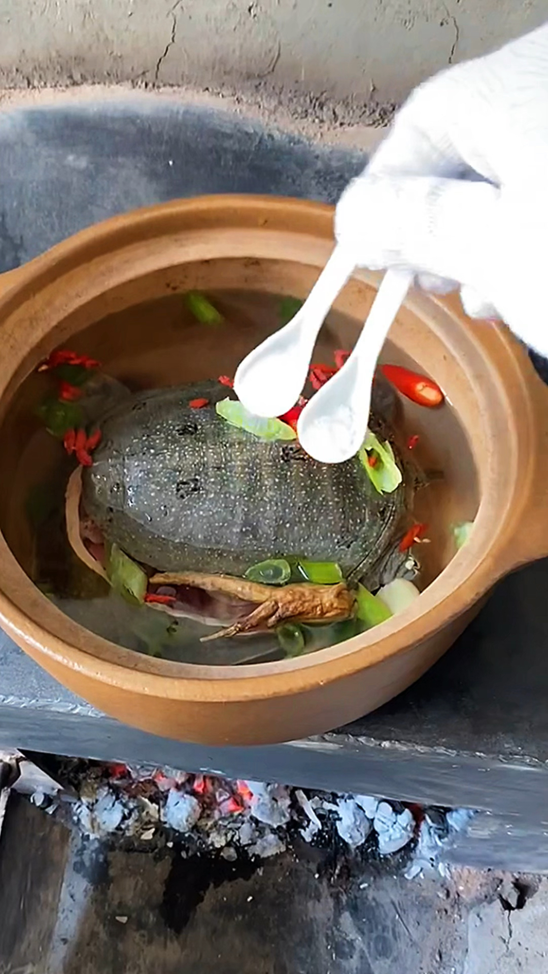 农村美食砂锅甲鱼汤做法