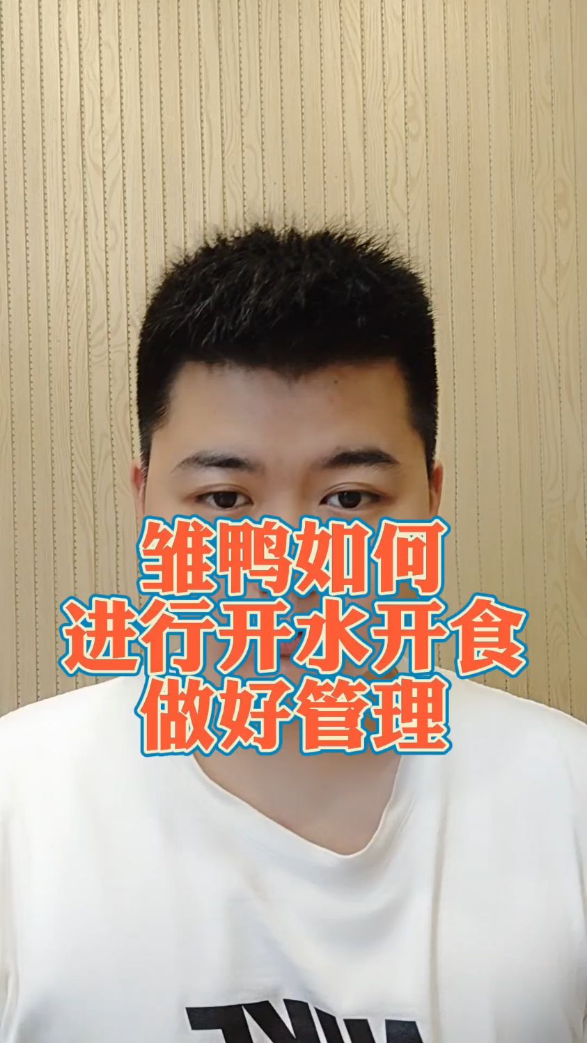 #雏鸭开水时间多久合适雏鸭多长时间喂水雏鸭多久可以喝水雏鸭最佳喝水时间雏鸭饮水用啥