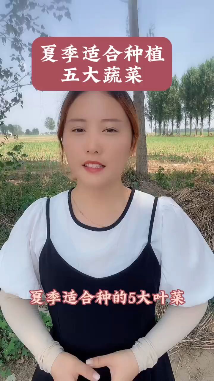 夏季适合种植五大蔬菜