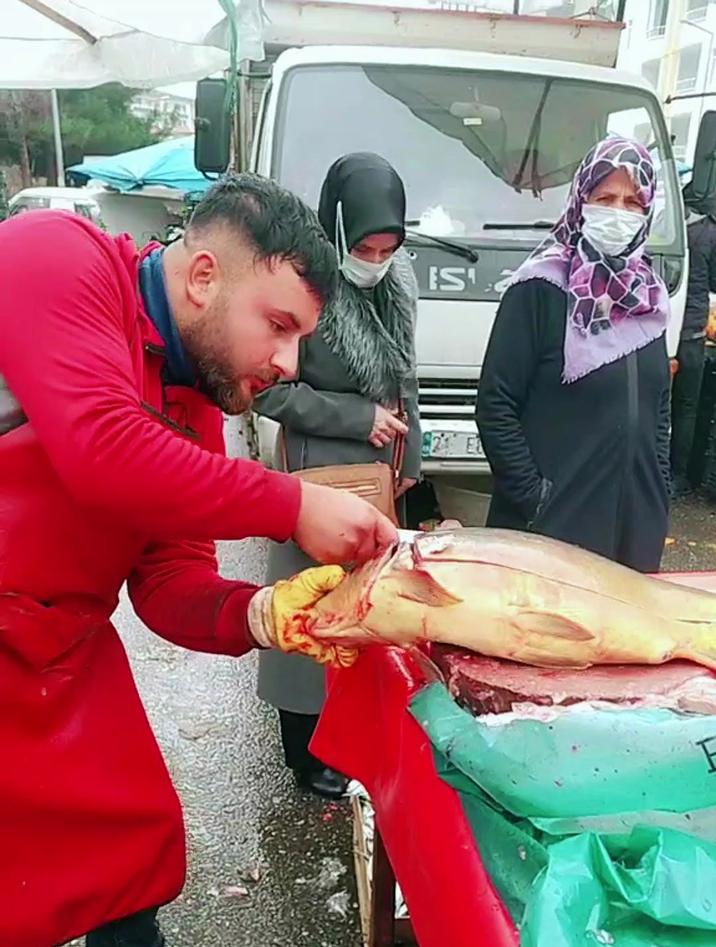 国外都是如何花式杀鱼的,看起来真的很丝滑,很解压啊