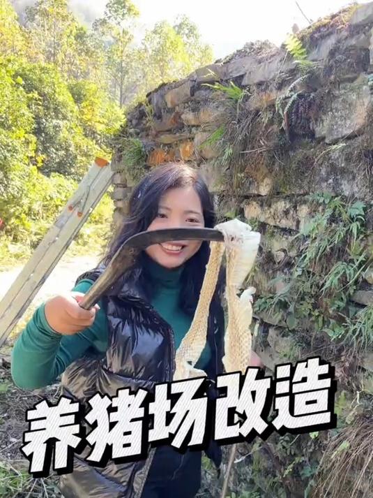 双儿要开始养跑山猪了,腊肉熏房的改造还需要好几天的时间