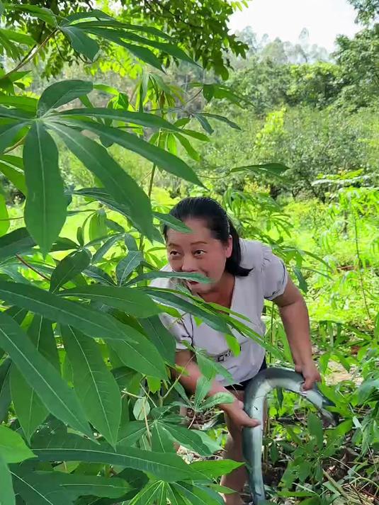 哇 好大的鳗鱼 跟蛇有点像 但是好好吃