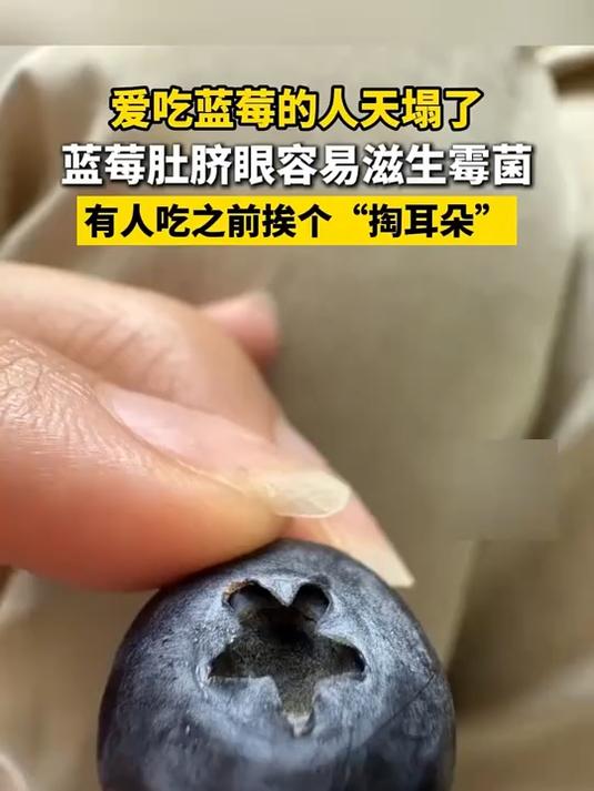 自动洗菜机果蔬清洗机家用蔬菜水果除农残涡轮净化器小型便携无线