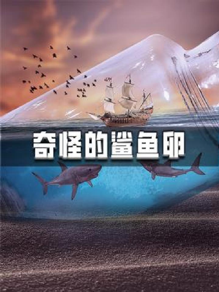 科普 海底世界 原来鲨鱼卵长这样?鲨鱼的三种生娃方式