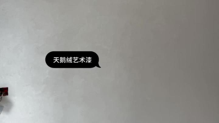 优雅奢华的天鹅绒艺术漆