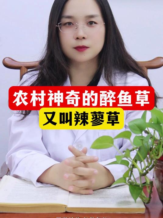 农村神奇的醉鱼草又叫辣蓼草
