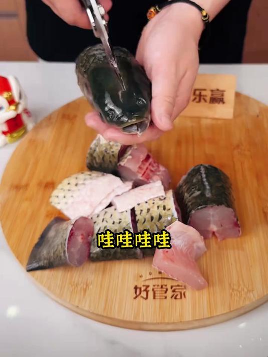 有了这个大头剪刀，老人也能轻松剪鸡剪鸭了！