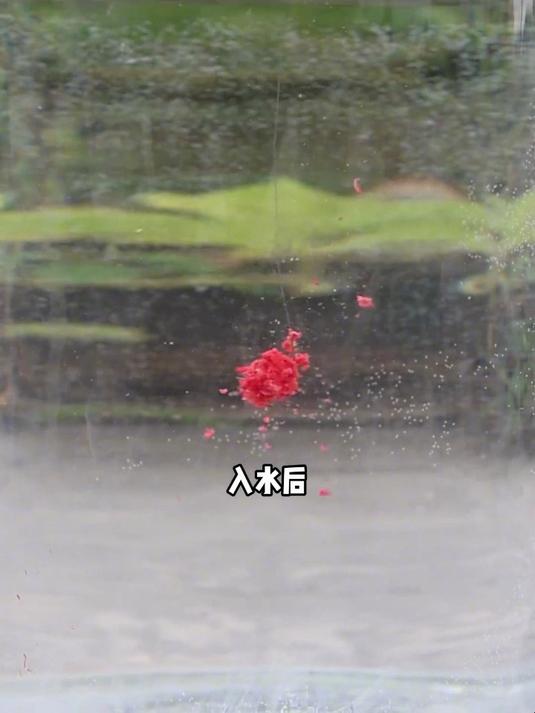 鲜腥赤尾青冷冻饵,贾东普出品,专攻鲫鱼鲤鱼罗非,秋冬作钓必备