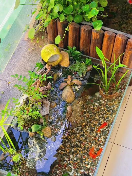 你们要的小河流水溪流缸造景全过程来啦 #原生态鱼缸#